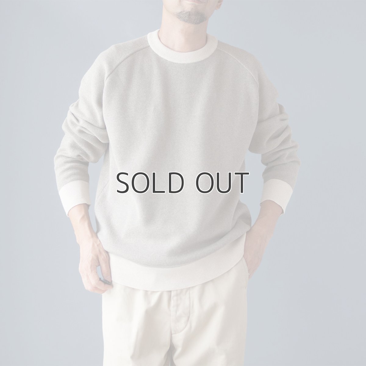 画像1: RAGLAN SLEEVE ATHLETIC KNIT｜MOCA (1)